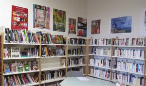 la bibliothèque : une partie de la collection