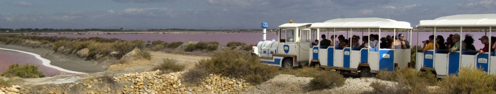 petit train des salins d'Aigues Mortes