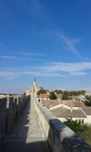 la tour de Constance et les remparts