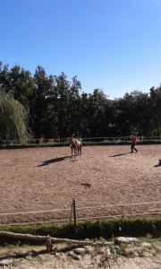 stage poney au centre équestre "les chimères"