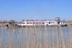 Croisière en Camargue