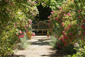 visite du jardin