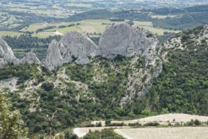 Dentelles de Montmirail