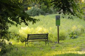 jardin de mazet banc