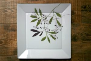 peinture sur porcelaine assiette nature