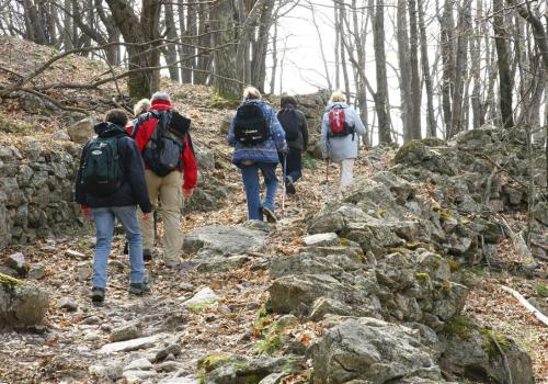 montée à la Roure