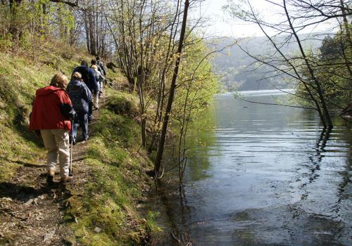 longeant le lac