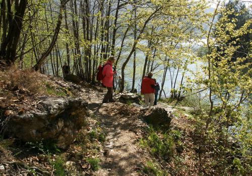 le printemps au bord du lac