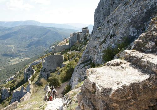 nid d'aigle : château de Peyrepertuse