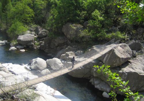 gorges du Chassezac : au fond du canyon