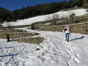 les faïsses au col du Mercou