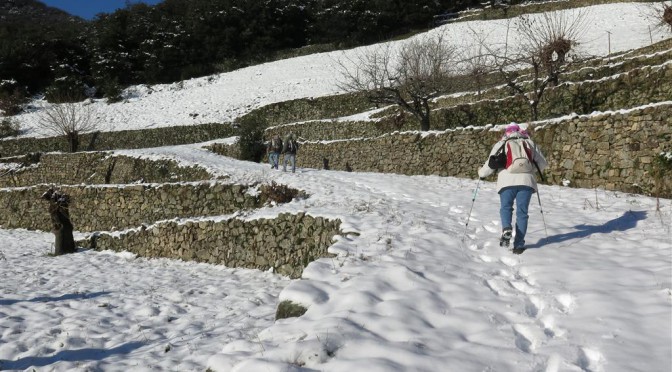 les faïsses au col du Mercou