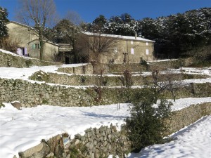 les faïsses au col du Mercou