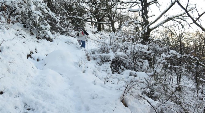 Neige au Mercou