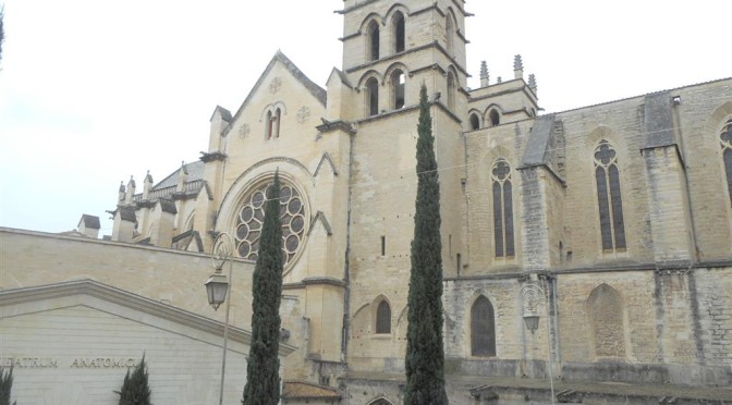 Montpellier : théâtre anatomique