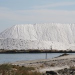 un camaïeu en blanc