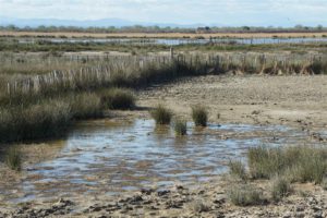 marais salants