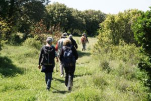 sentier de retour