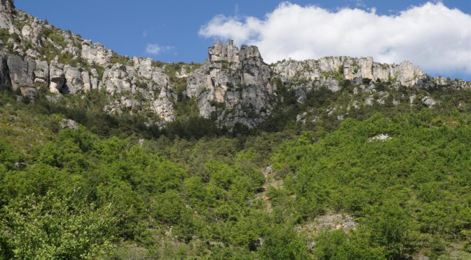 les falaises de Liaucous