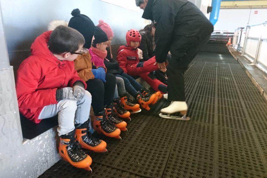 L'Aphyllanthe à la patinoire d'Alès