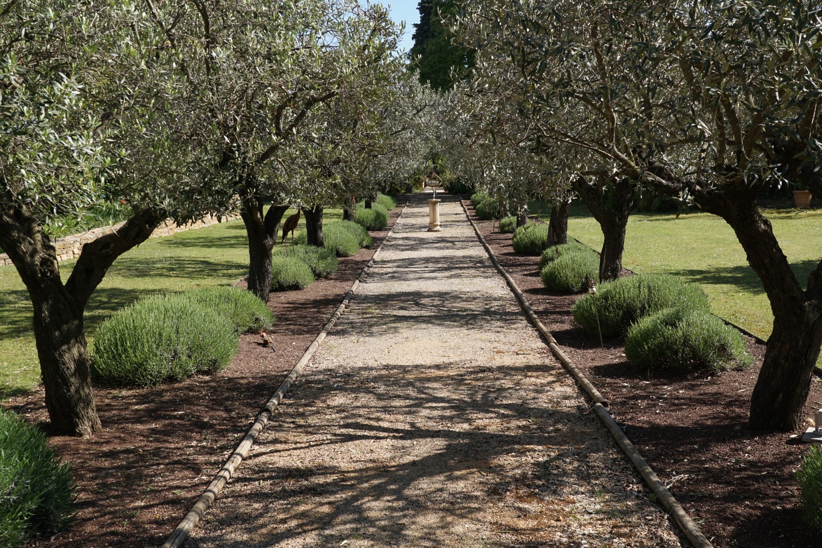 jardin du mas des tilleuls