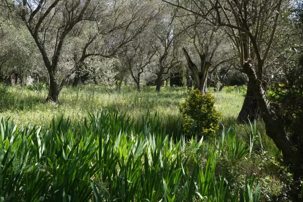 jardin méditerranéen de l'Abbaye de St-André