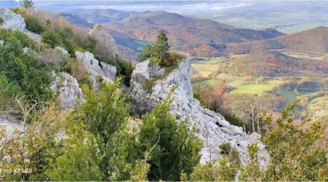 Les activités nature de l’Aphyllanthe