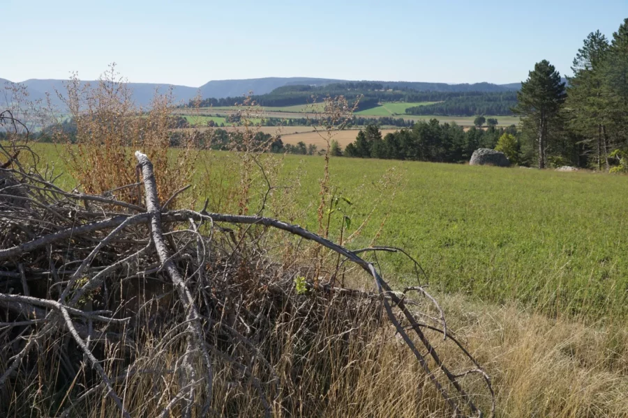 le causse de Mende, regardant ver le mont Lozère