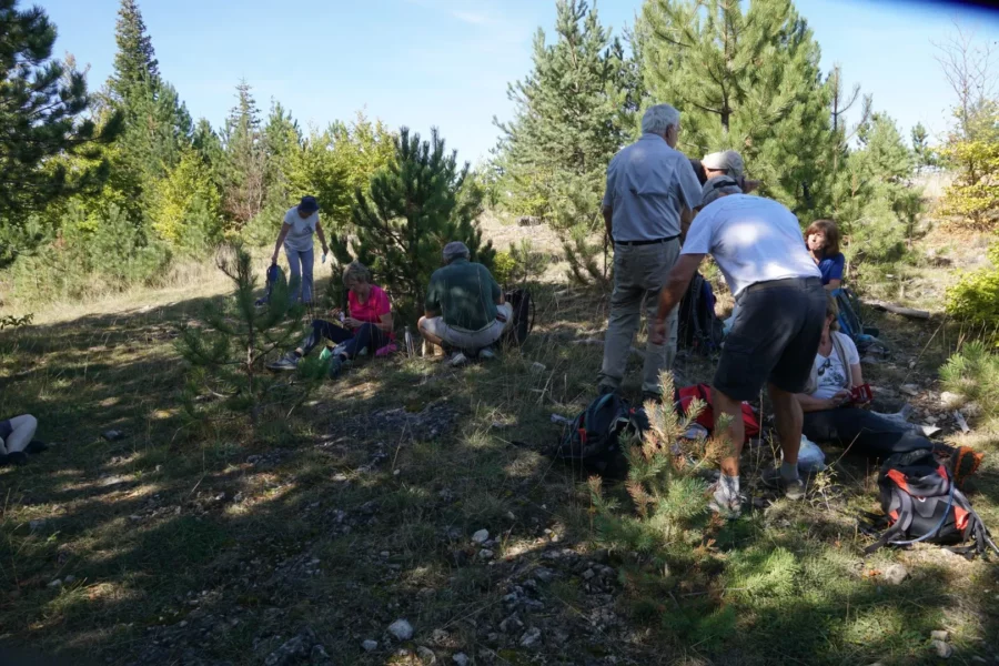 pause déjeuner sur le causse de Mende