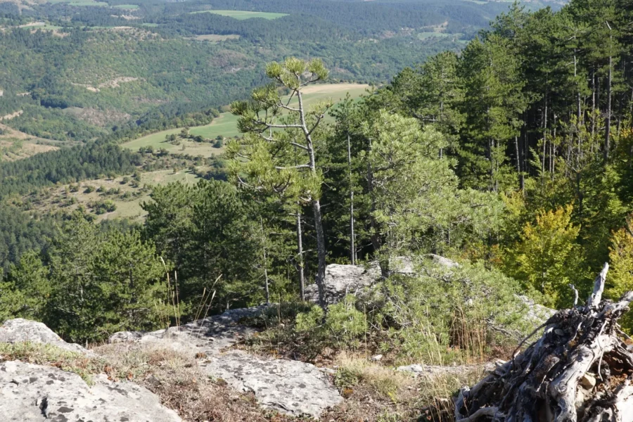 La vallée du Lot depuis de le causse de Mende