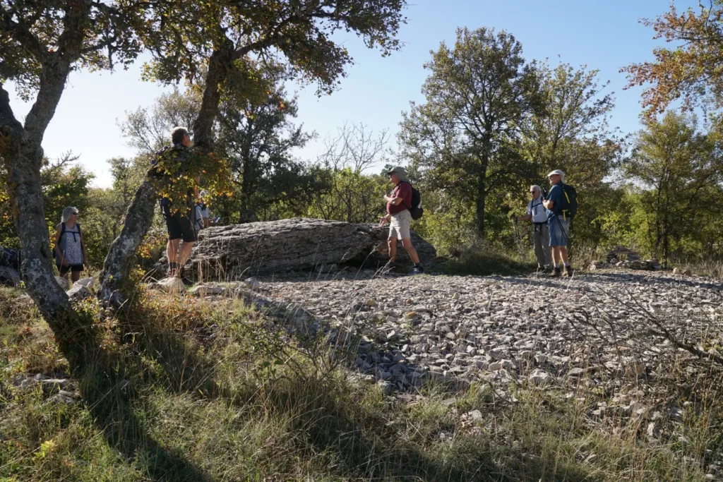 le dolmen de chamgefège