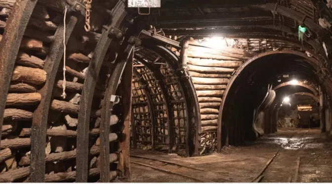 Visite à la mine témoin