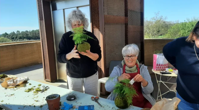 Atelier kokedama Aigaliers