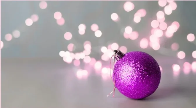 La fin de l’année à l’Aphyllanthe