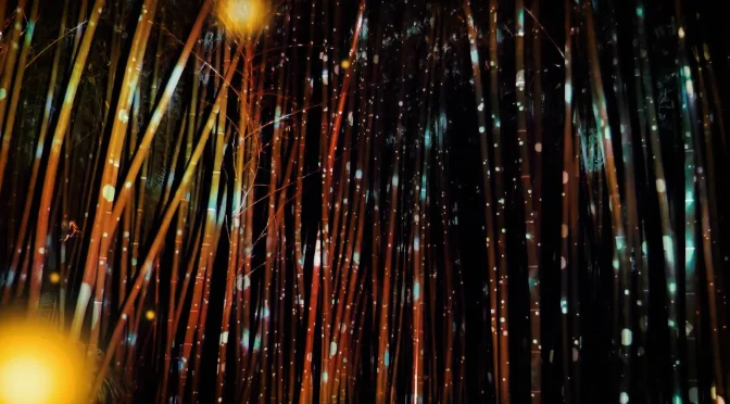 Son & lumière à la bambouseraie – 19 sept.