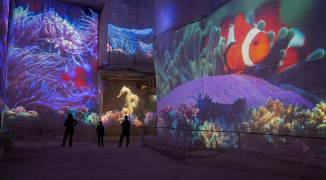 Carrières des Lumières : Océan, immersion dans le monde sous-marin – 17 oct.